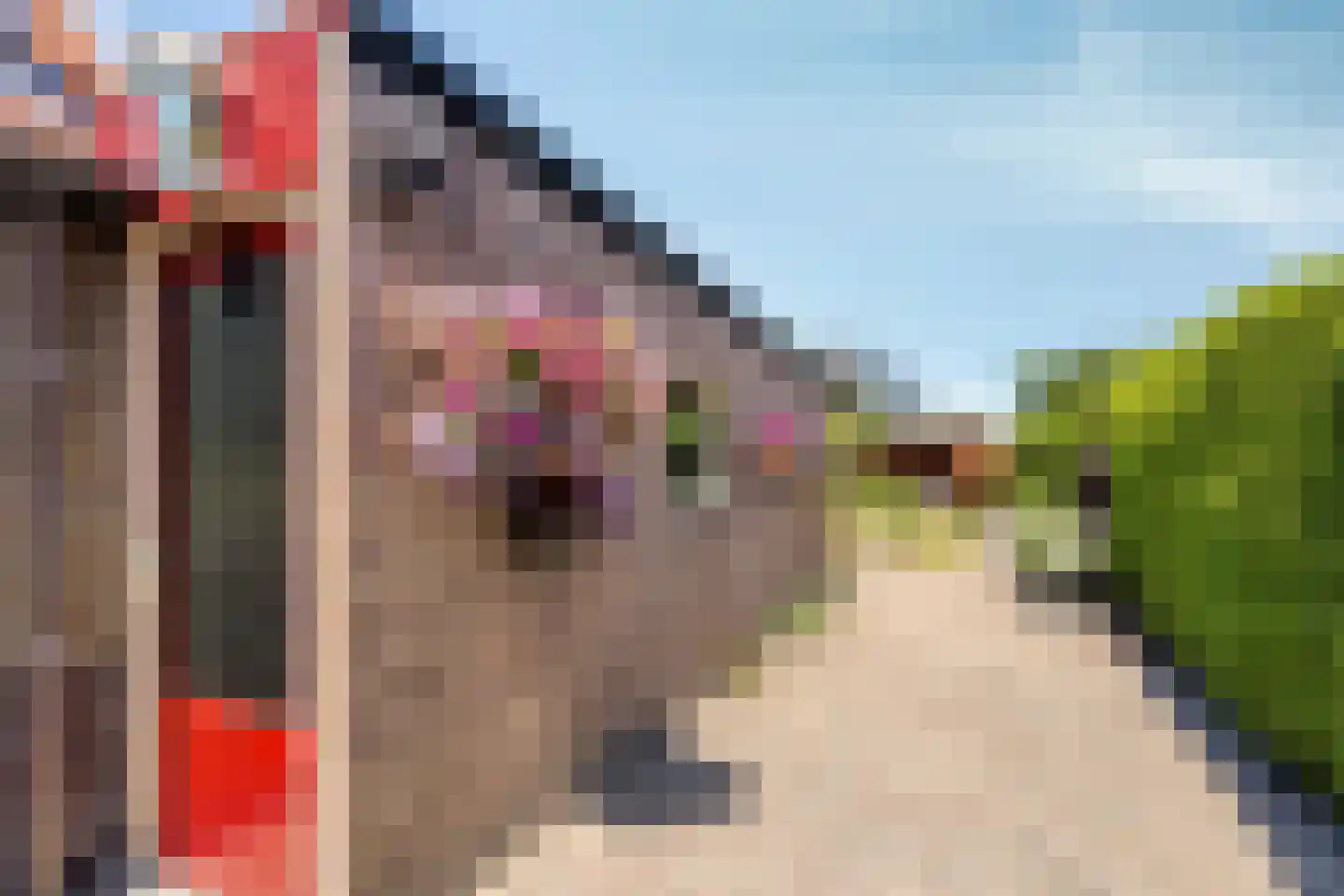Oosteinde 41 Scherpenzeel thumbnail 25