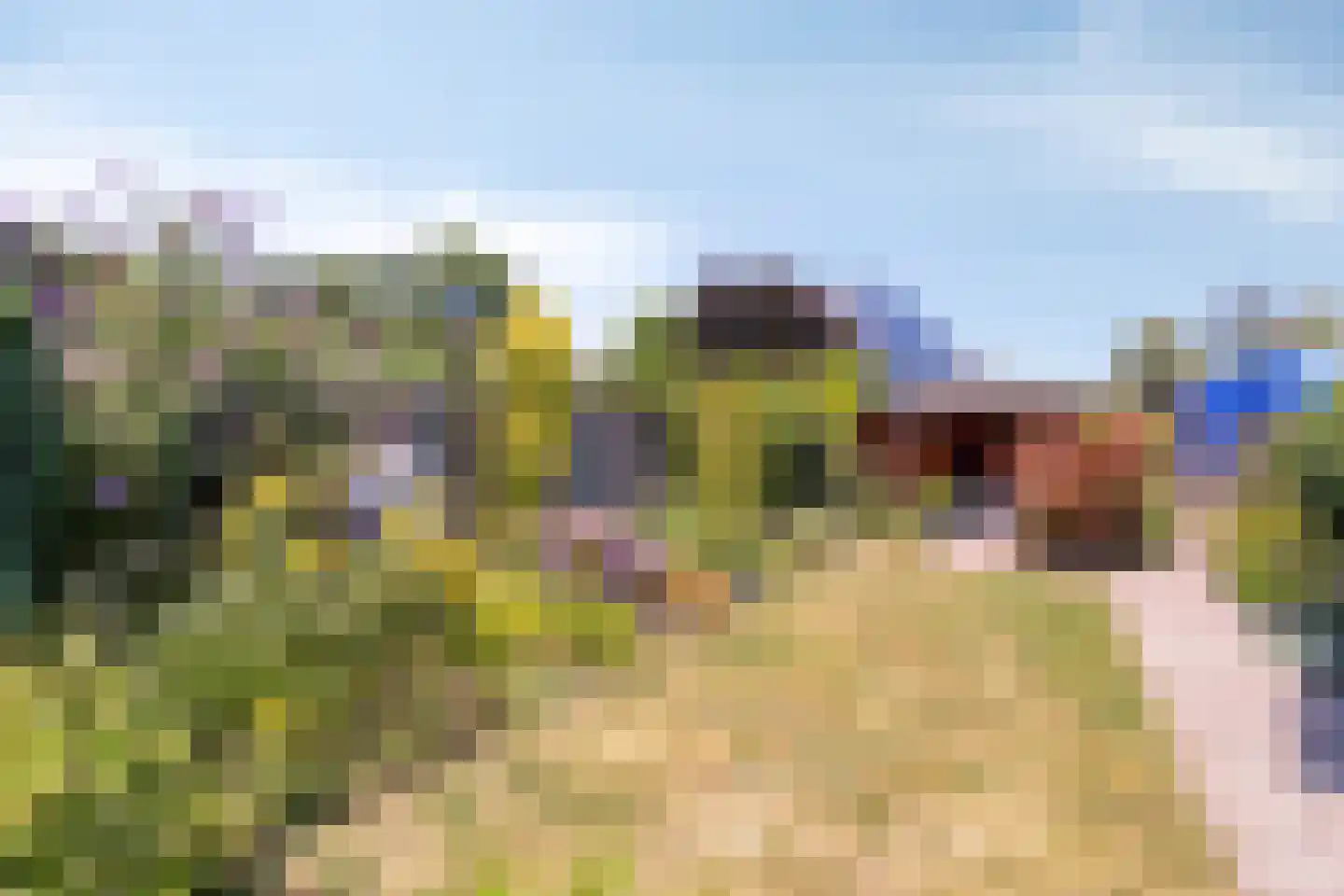 Oosteinde 41 Scherpenzeel thumbnail 26