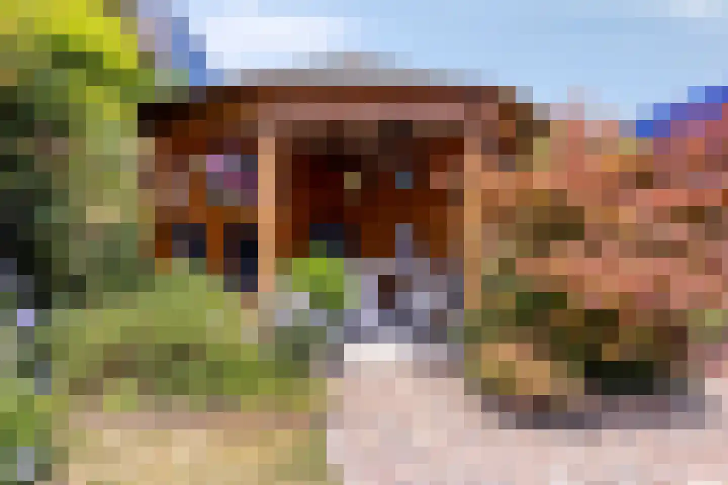 Oosteinde 41 Scherpenzeel thumbnail 27