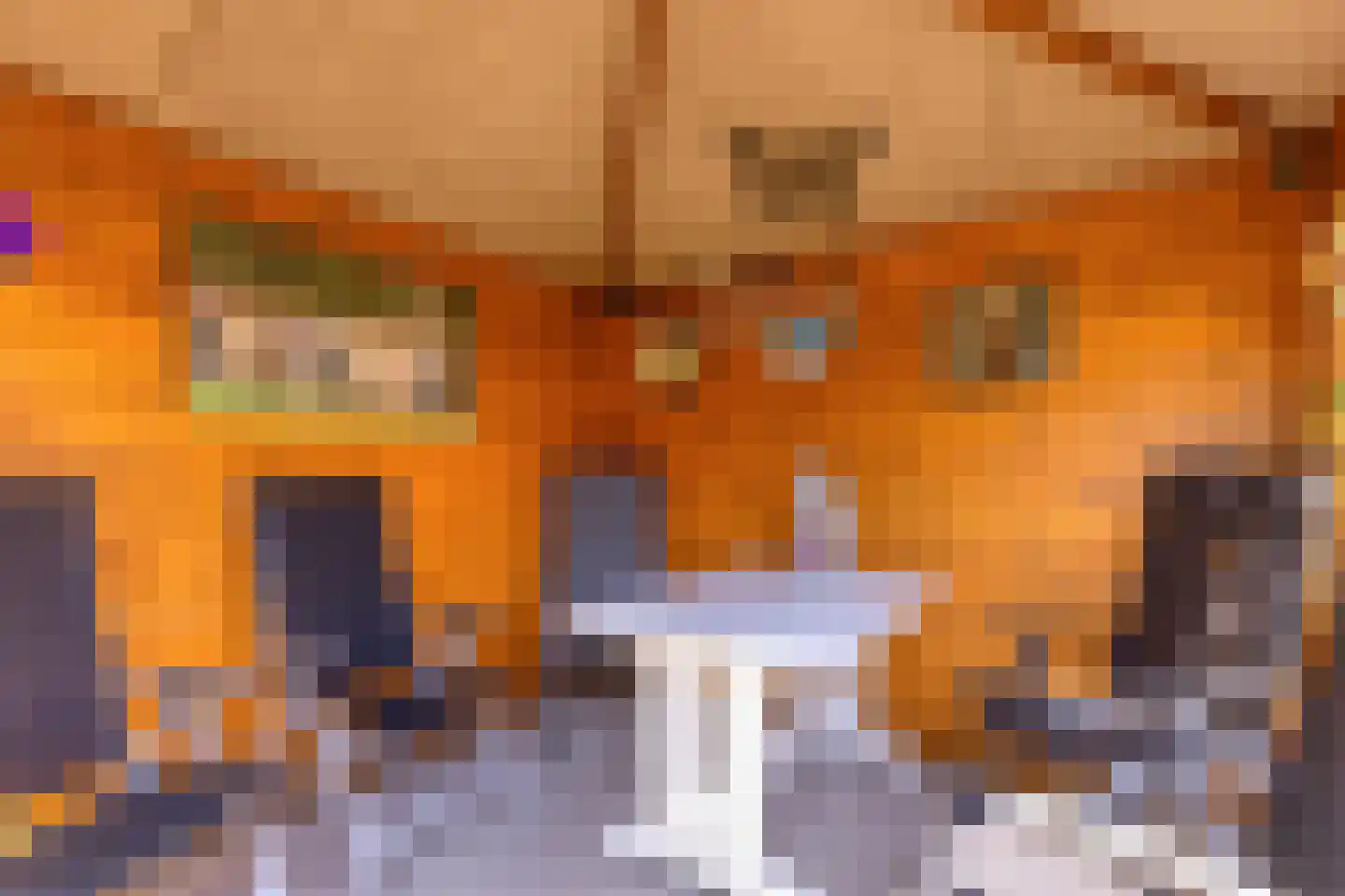 Oosteinde 41 Scherpenzeel thumbnail 28
