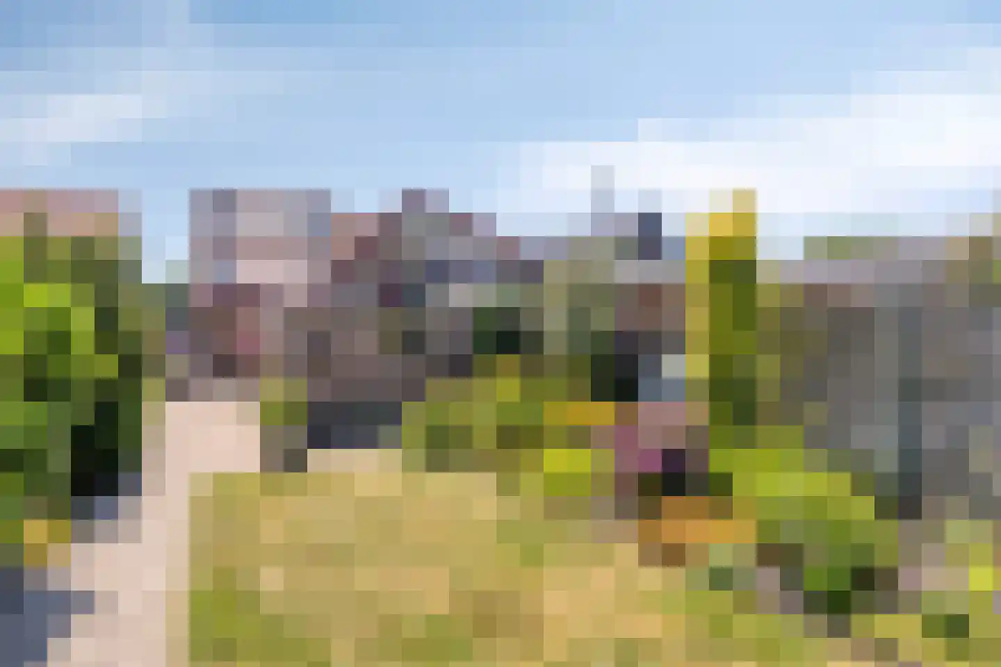 Oosteinde 41 Scherpenzeel thumbnail 29