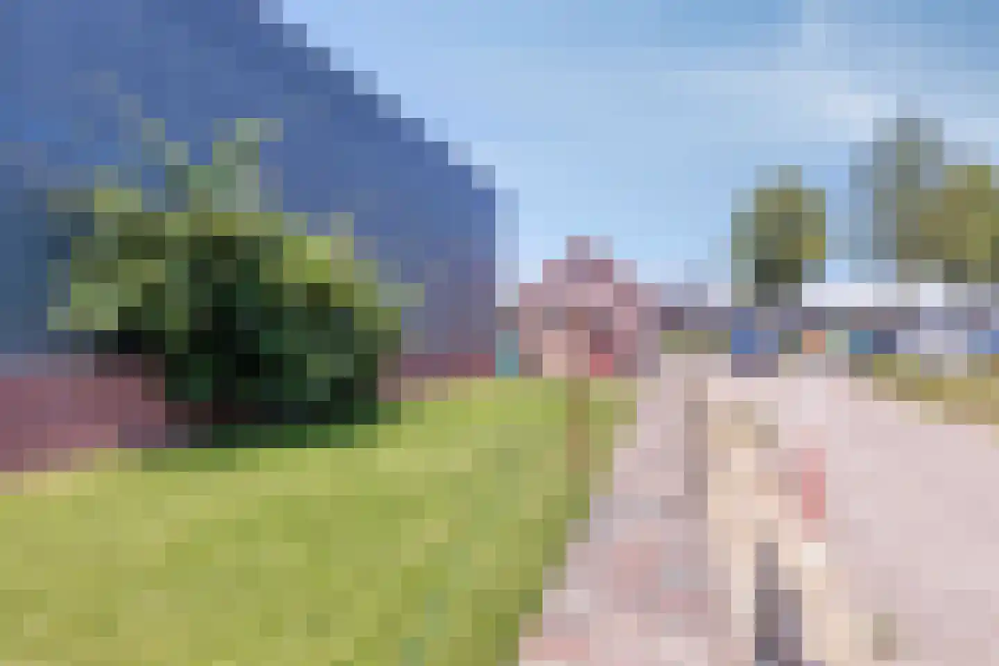 Oosteinde 41 Scherpenzeel thumbnail 30
