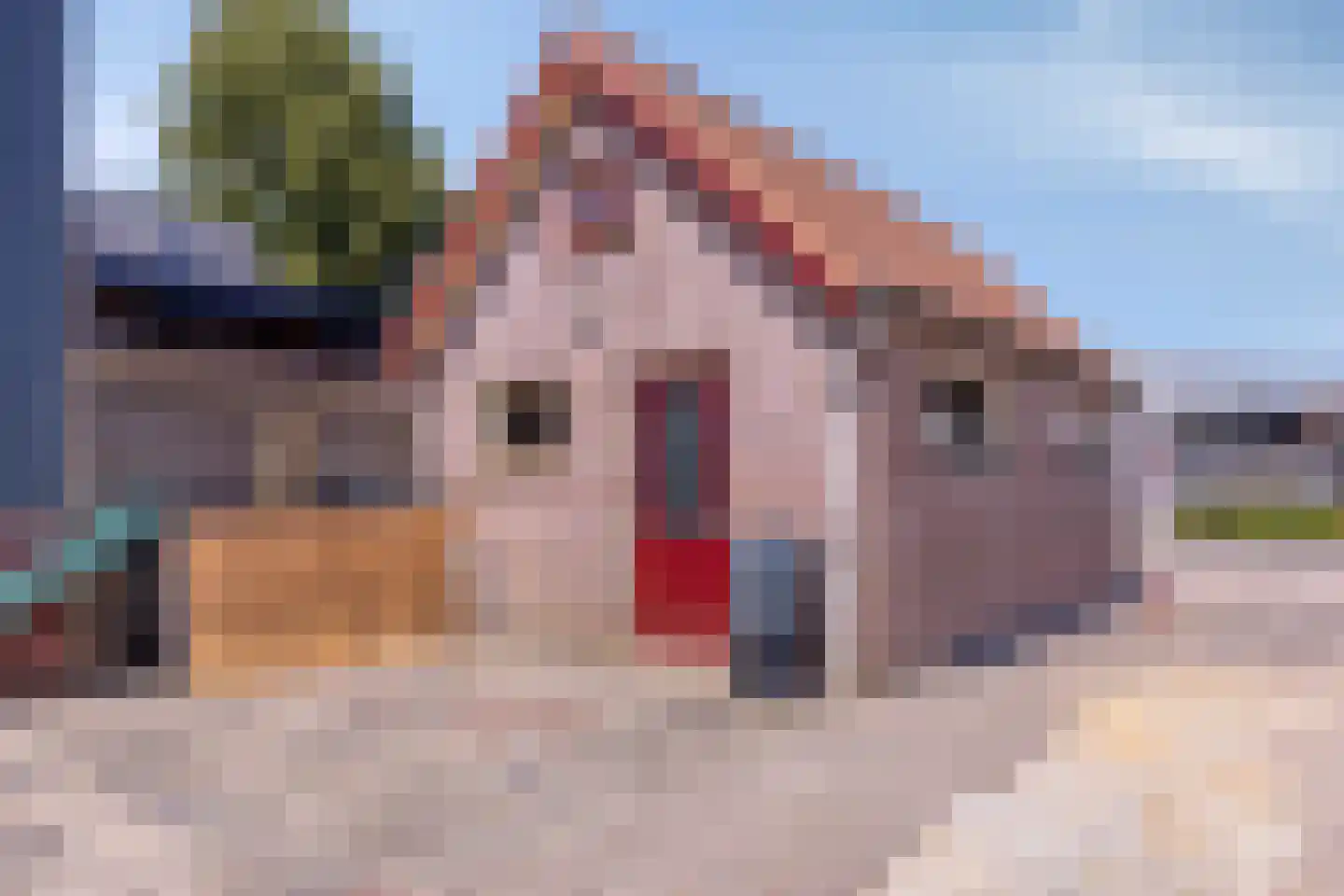 Oosteinde 41 Scherpenzeel thumbnail 32