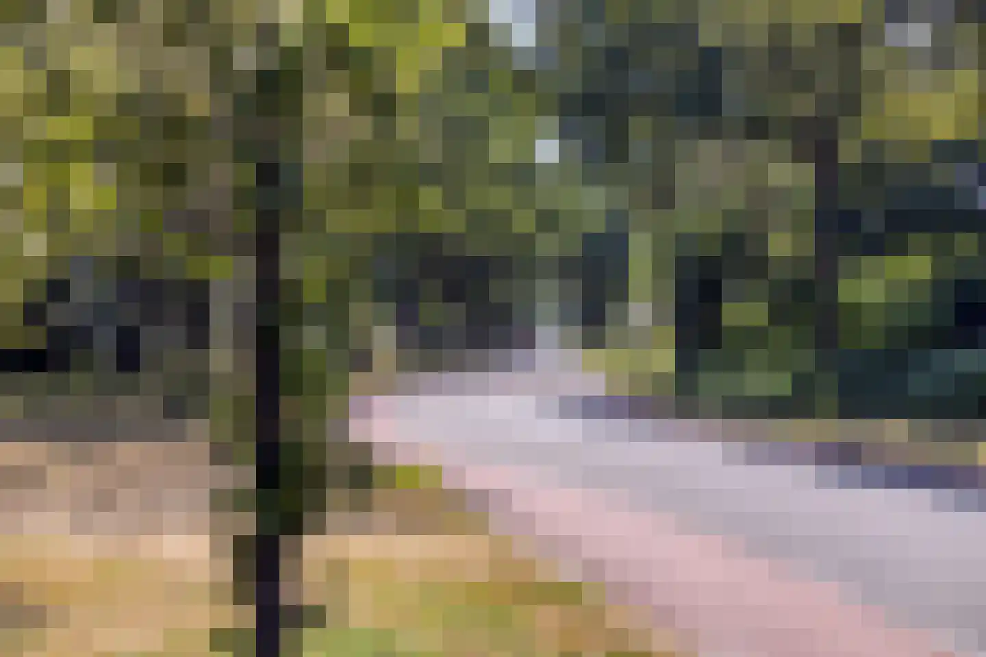 Oosteinde 41 Scherpenzeel thumbnail 39