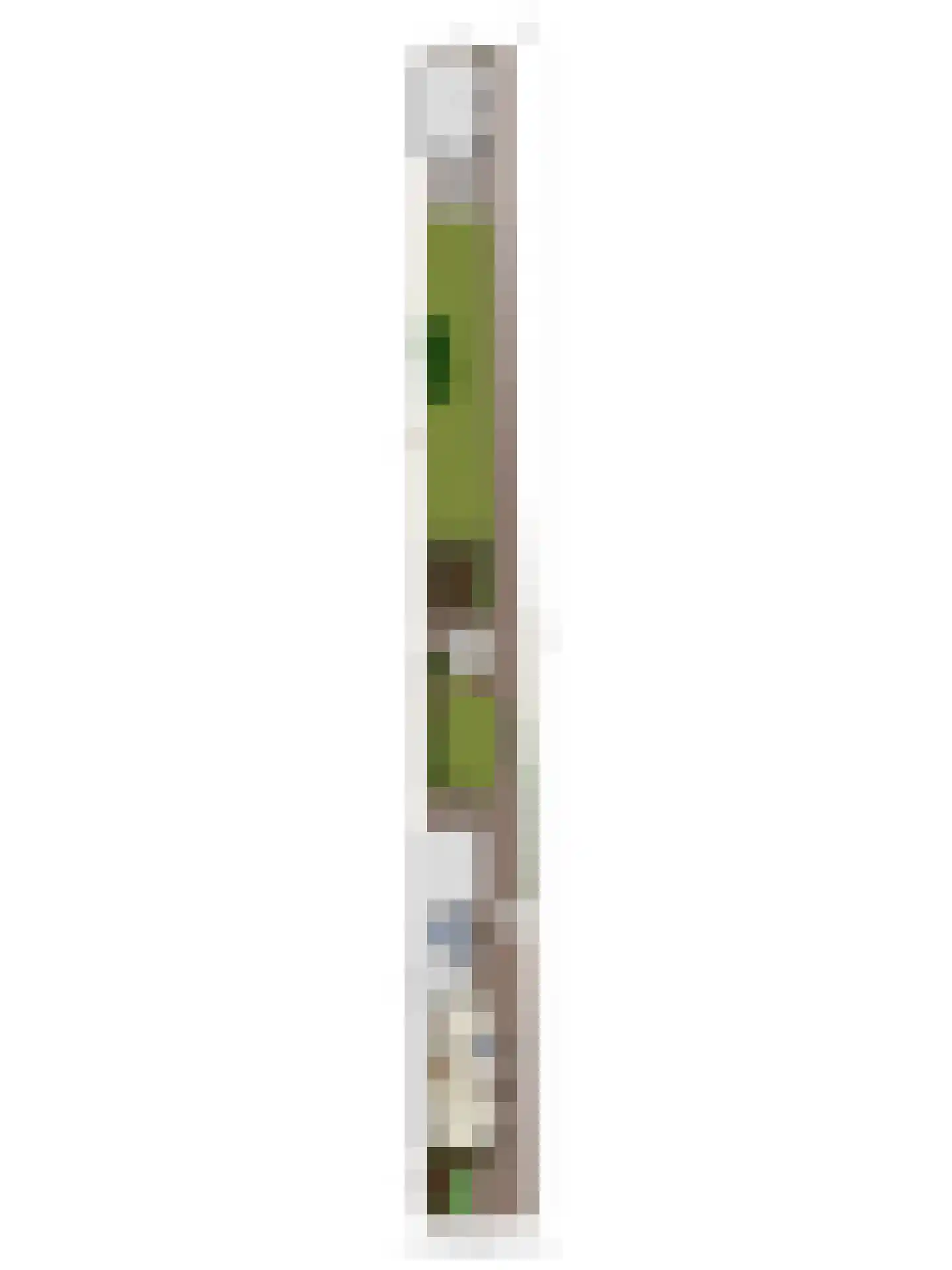Oosteinde 41 Scherpenzeel thumbnail 44