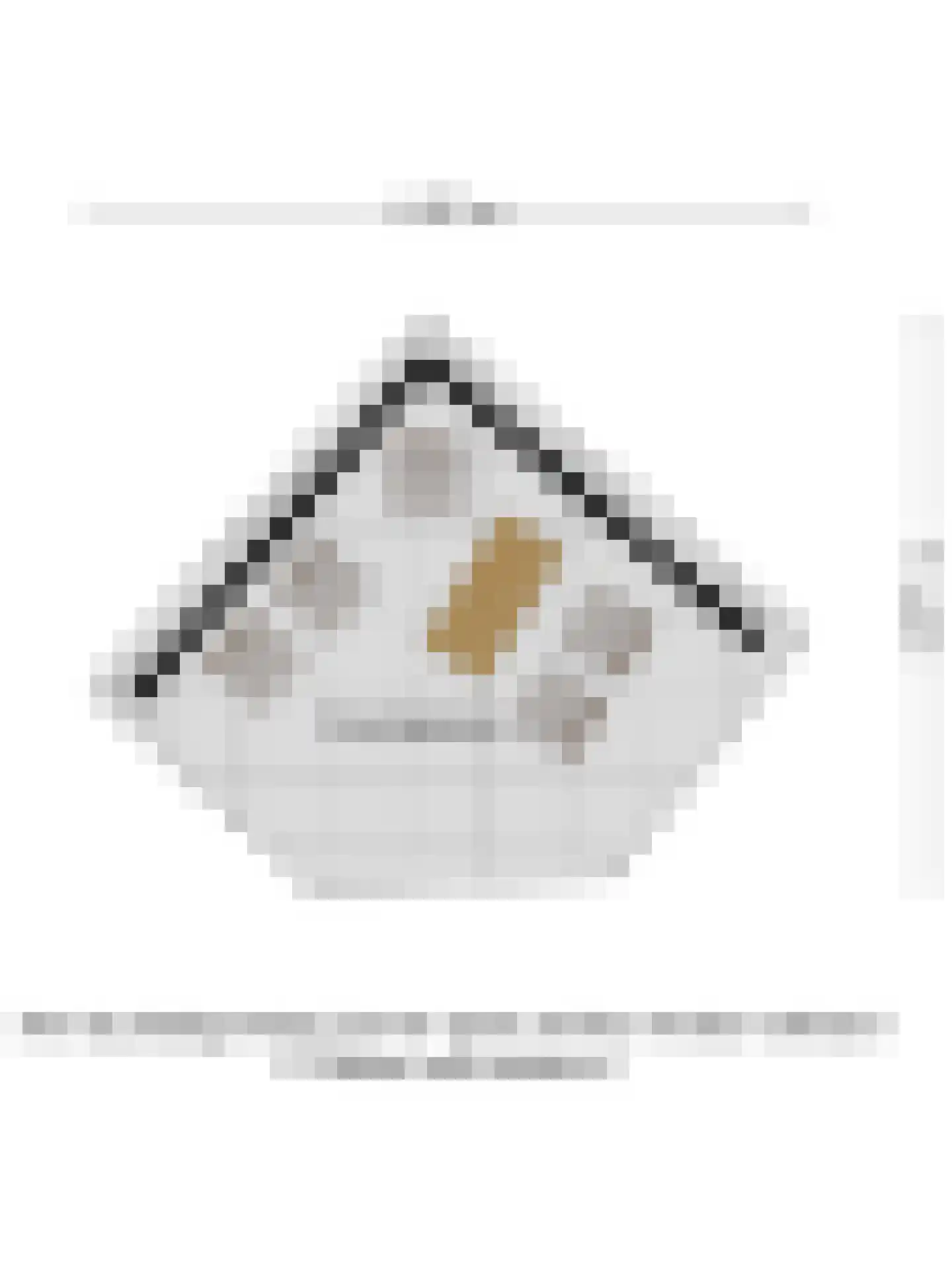 Oosteinde 41 Scherpenzeel thumbnail 46