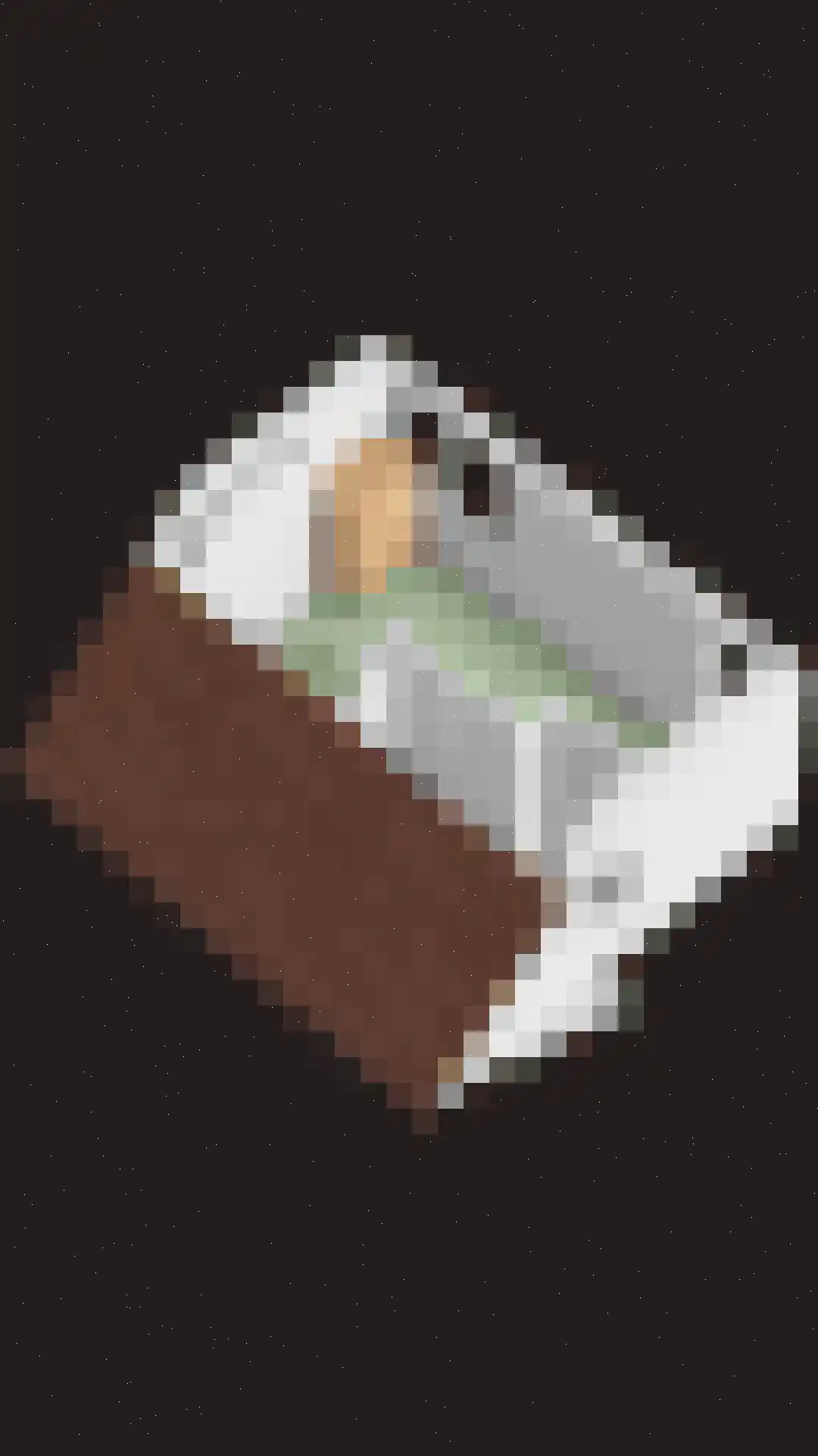 Oosteinde 41 Scherpenzeel thumbnail 49