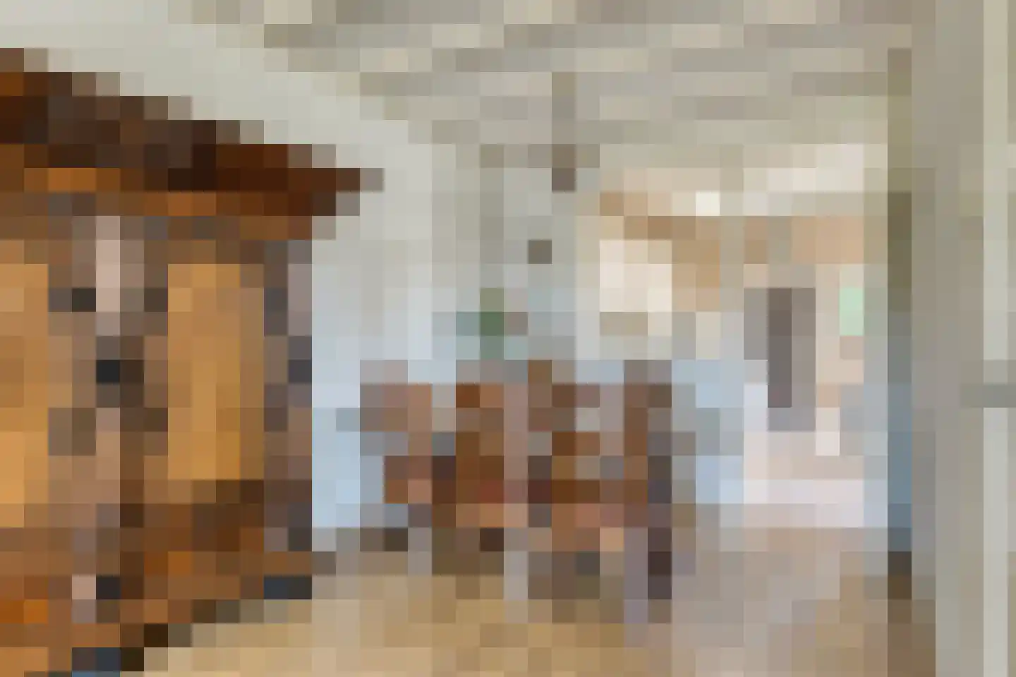 Oosteinde 41 Scherpenzeel thumbnail 6