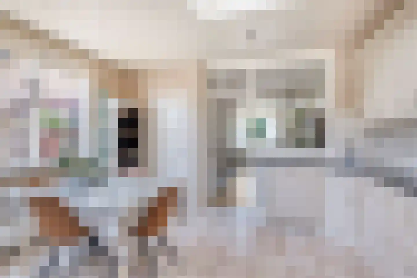Oosteinde 41 Scherpenzeel thumbnail 8