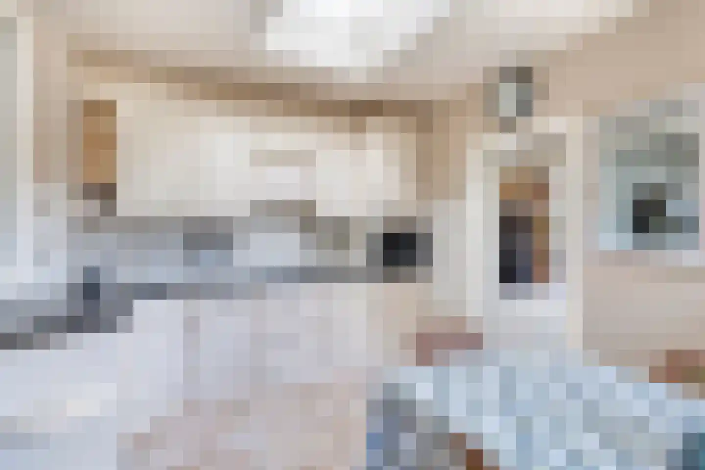 Oosteinde 41 Scherpenzeel thumbnail 9