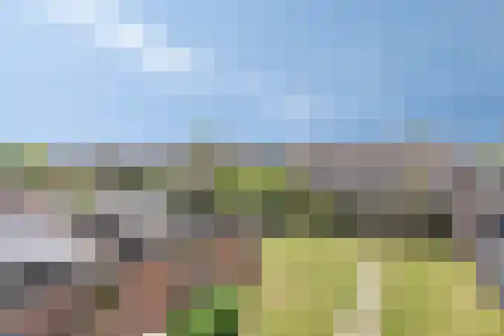Oosteinde 44 Zevenaar thumbnail 19