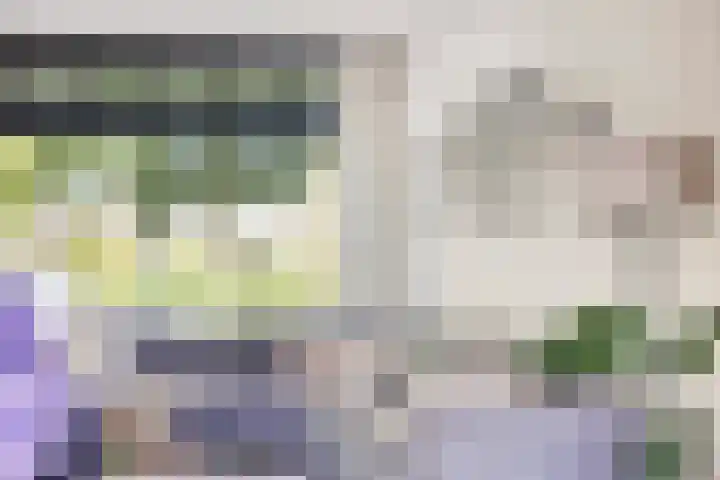 Oosteinde 44 Zevenaar thumbnail 8