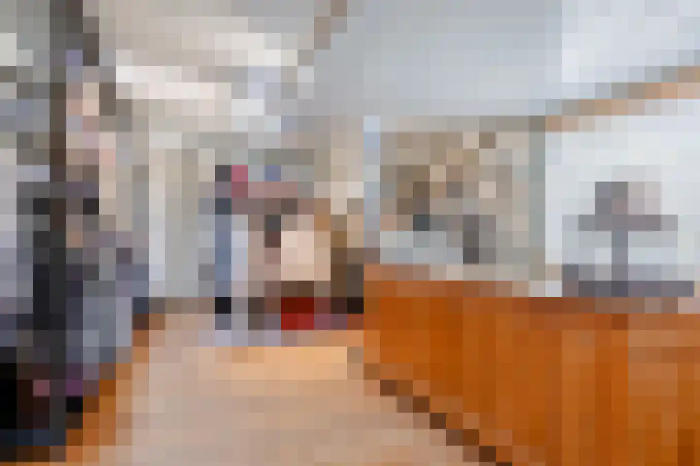 Oosteinde 45 Oostwoud thumbnail 18