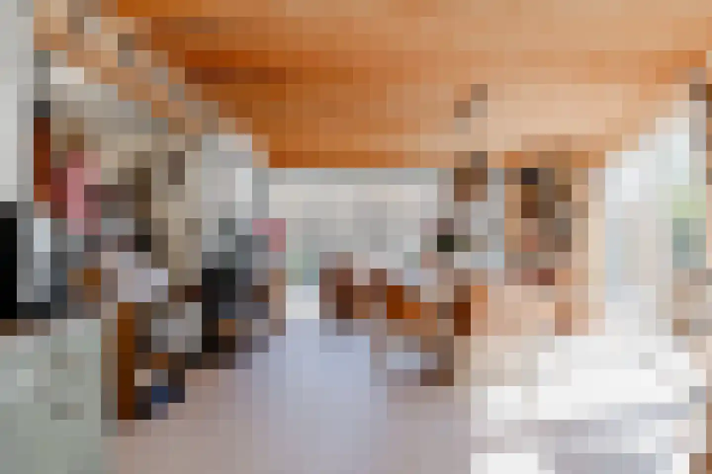 Oosteinde 45 Oostwoud thumbnail 20