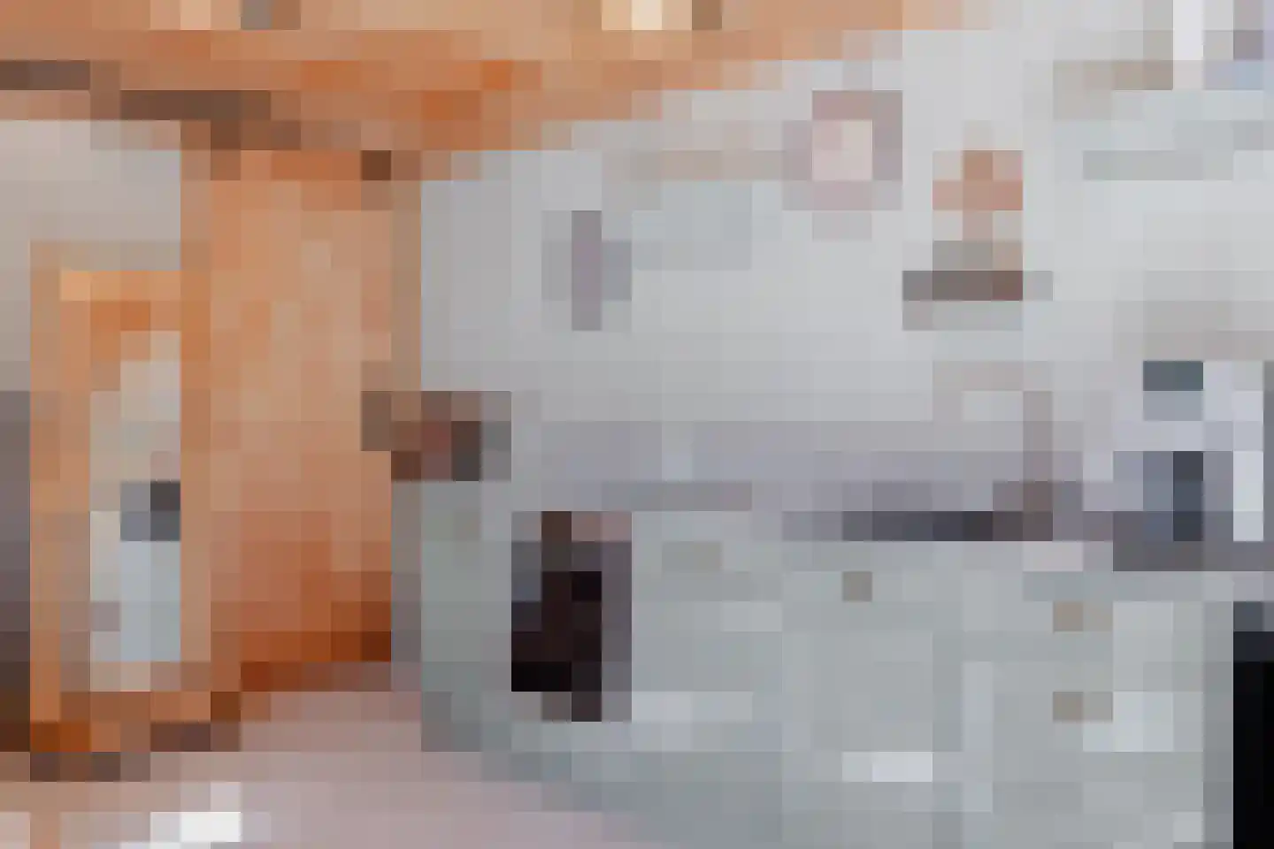 Oosteinde 45 Oostwoud thumbnail 22