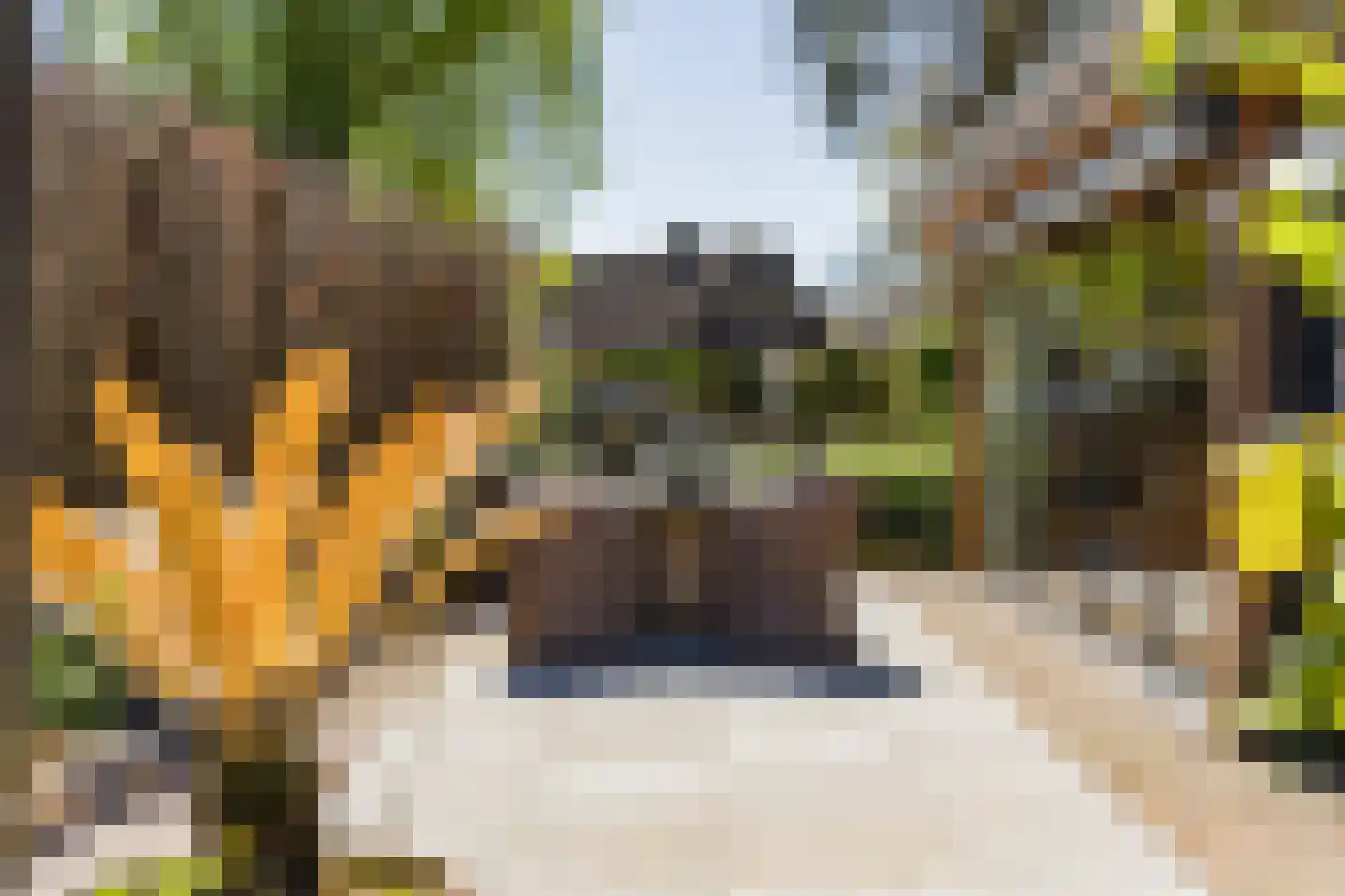 Oosteinde 45 Oostwoud thumbnail 24