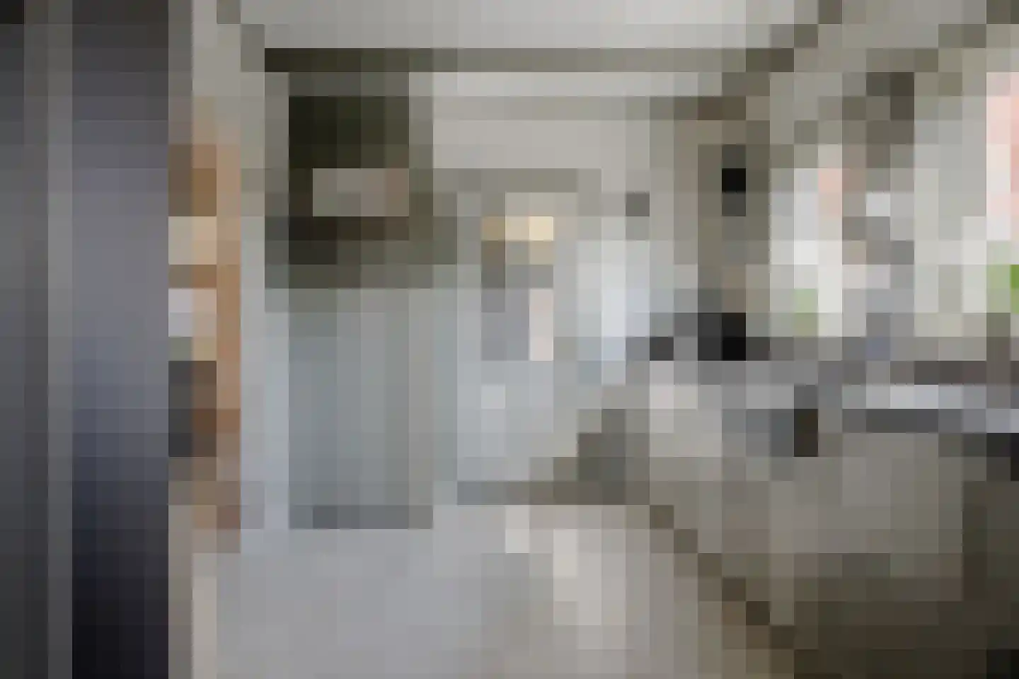 Oosteinde 45 Oostwoud thumbnail 7
