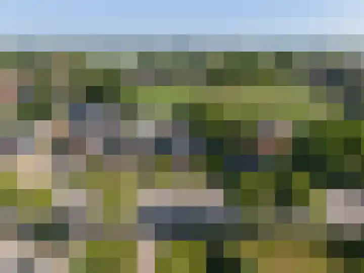 Oosteinde 47 St.-Jacobiparochie thumbnail 10