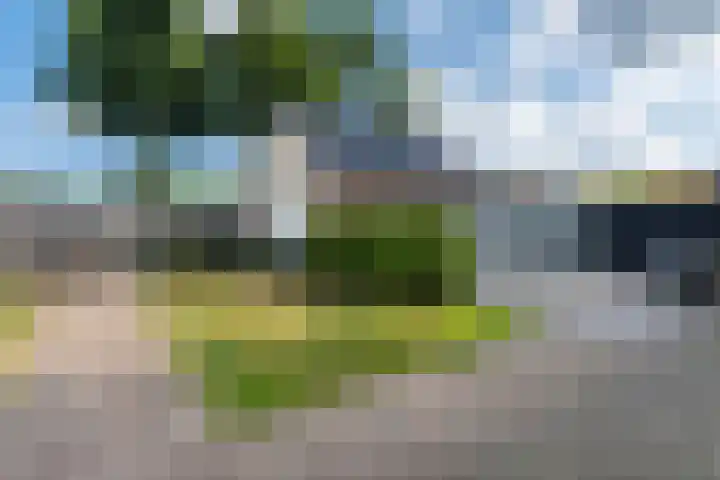 Oosteinde 47 St.-Jacobiparochie thumbnail 57