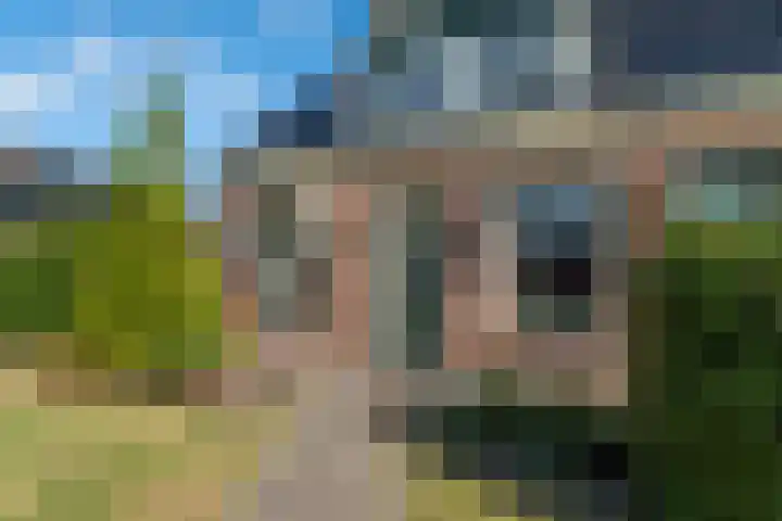 Oosteinde 47 St.-Jacobiparochie thumbnail 6