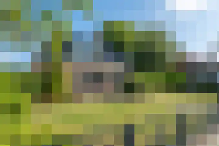 Oosteinde 47 St.-Jacobiparochie thumbnail 8