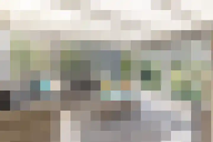 Oosteinde 48 Wijngaarden thumbnail 13