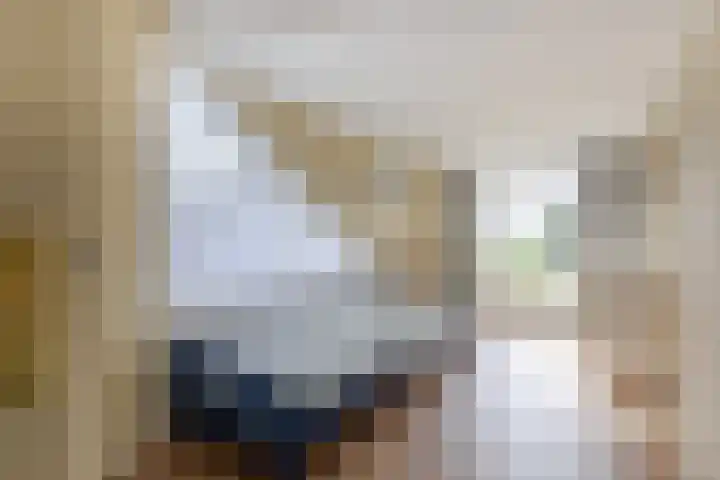 Oosteinde 48 Wijngaarden thumbnail 22