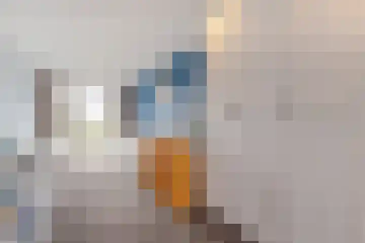 Oosteinde 48 Wijngaarden thumbnail 25