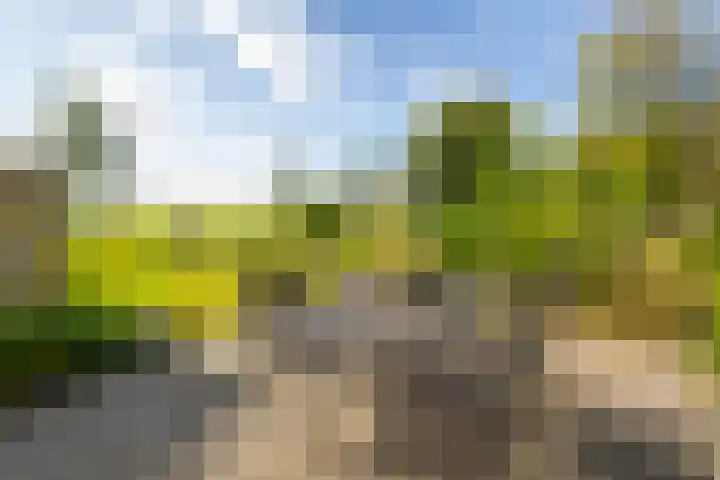 Oosteinde 48 Wijngaarden thumbnail 29