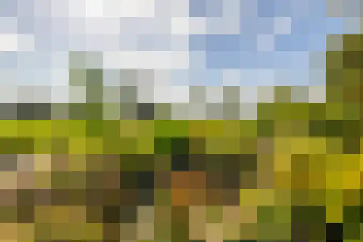 Oosteinde 48 Wijngaarden thumbnail 30