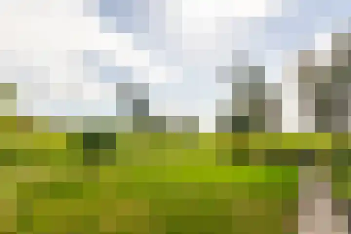 Oosteinde 48 Wijngaarden thumbnail 31