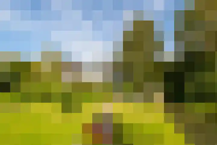 Oosteinde 48 Wijngaarden thumbnail 33