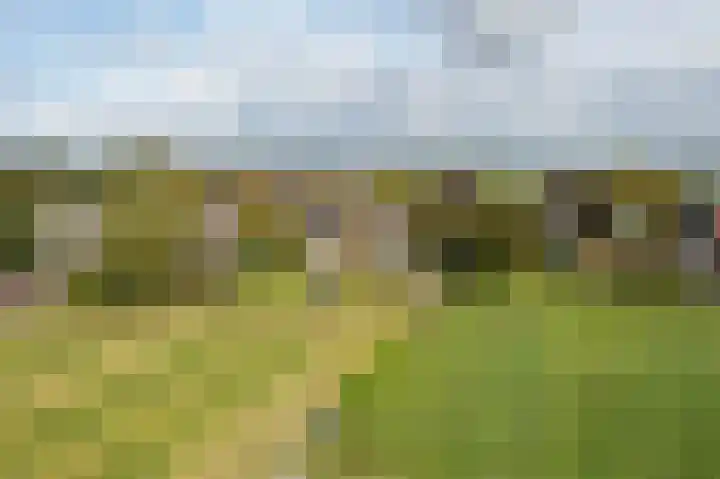 Oosteinde 48 Wijngaarden thumbnail 34