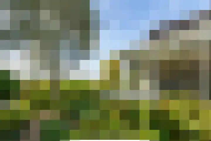 Oosteinde 48 Wijngaarden thumbnail 35