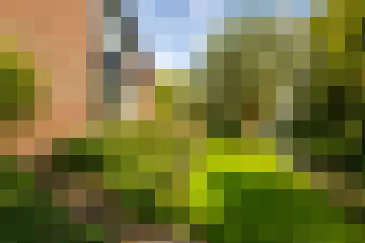 Oosteinde 48 Wijngaarden thumbnail 37