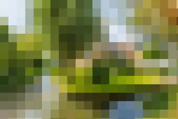 Oosteinde 48 Wijngaarden thumbnail 38