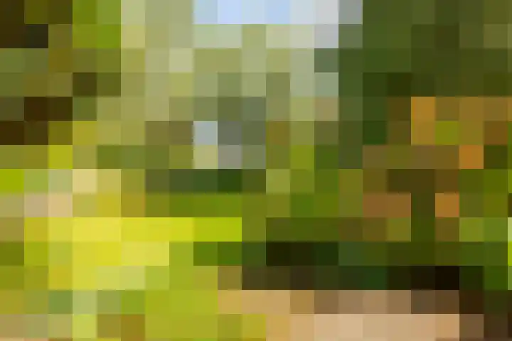 Oosteinde 48 Wijngaarden thumbnail 39
