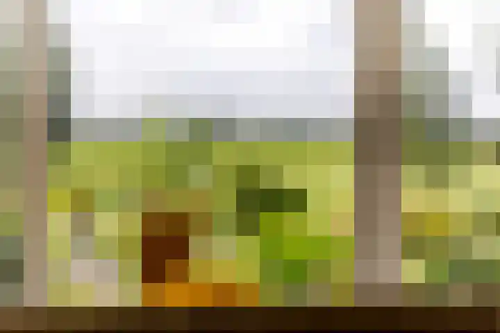 Oosteinde 48 Wijngaarden thumbnail 4