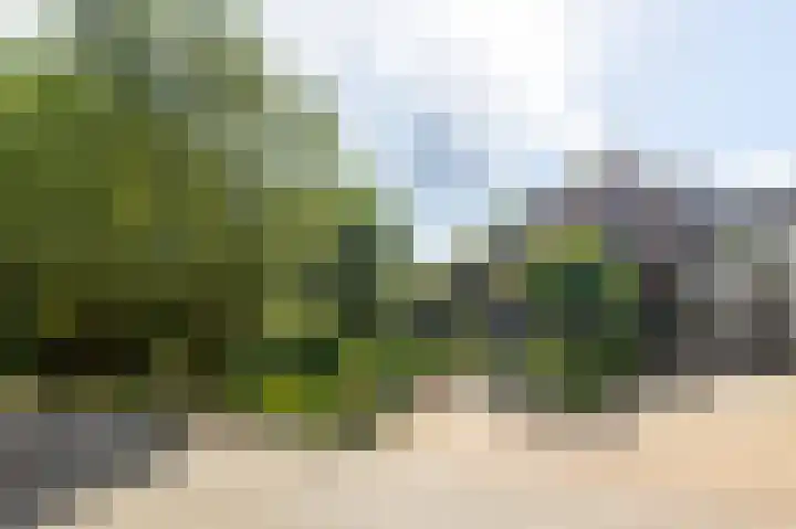 Oosteinde 48 Wijngaarden thumbnail 41