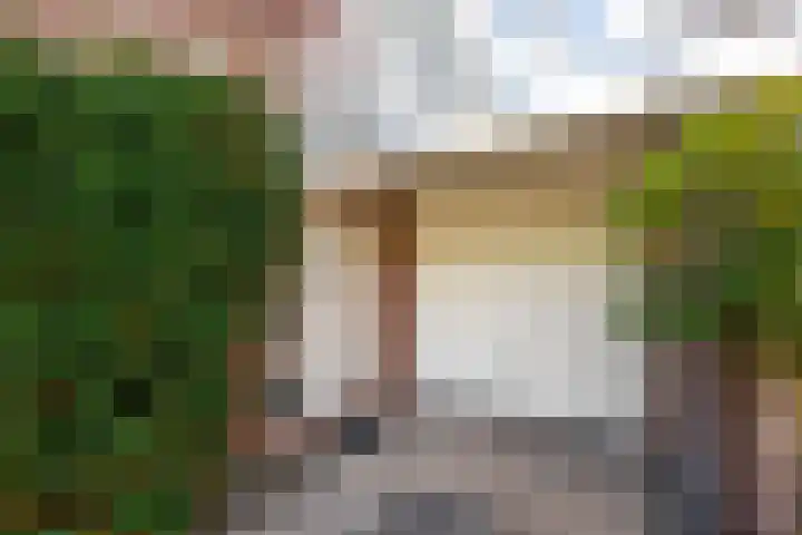 Oosteinde 48 Wijngaarden thumbnail 5