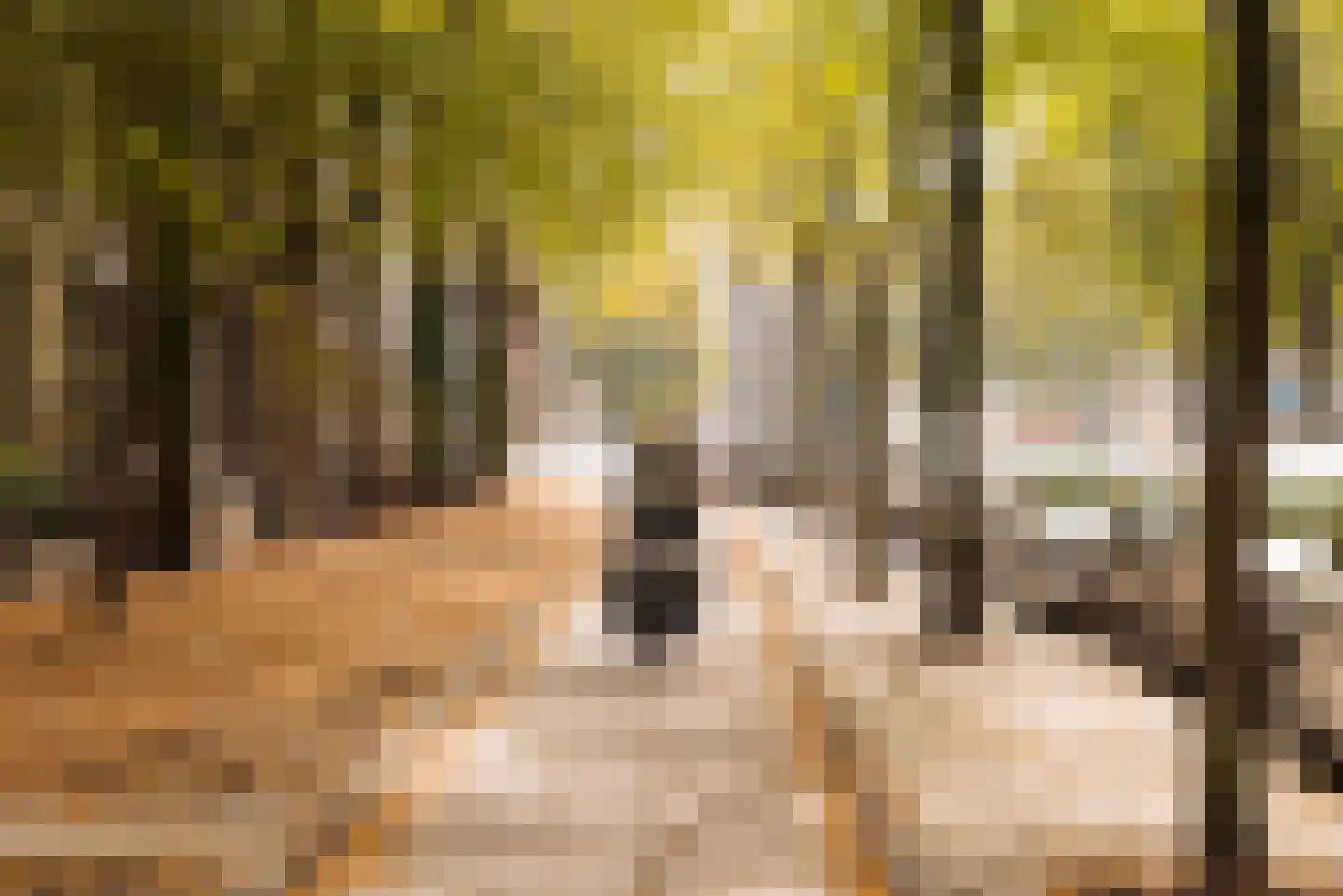 Oosteinde 5 B Amsterdam thumbnail 33