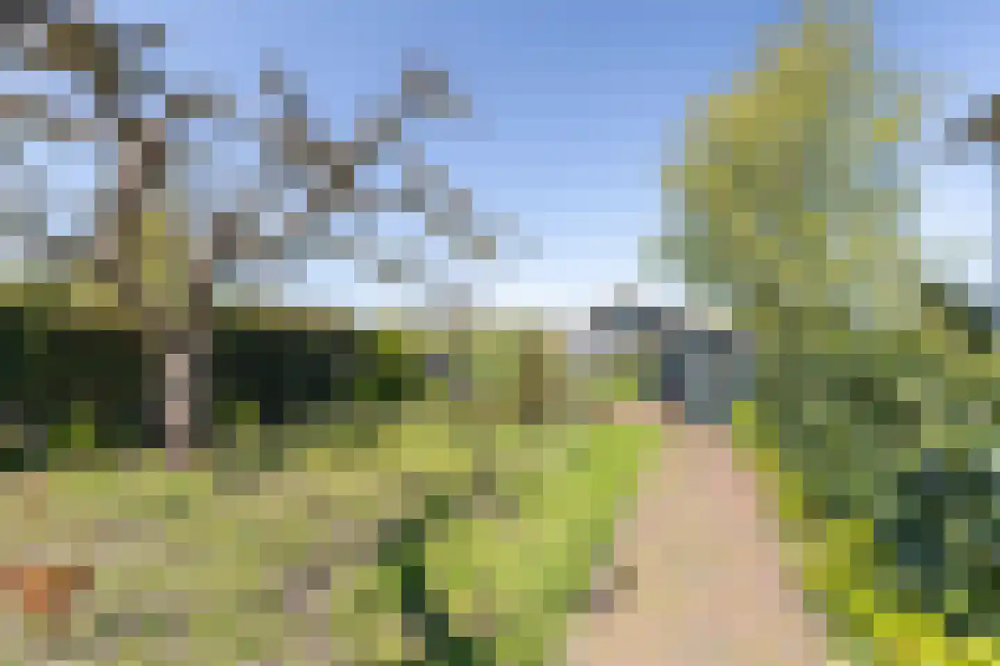 Oosteinde 5 De Rijp thumbnail 11
