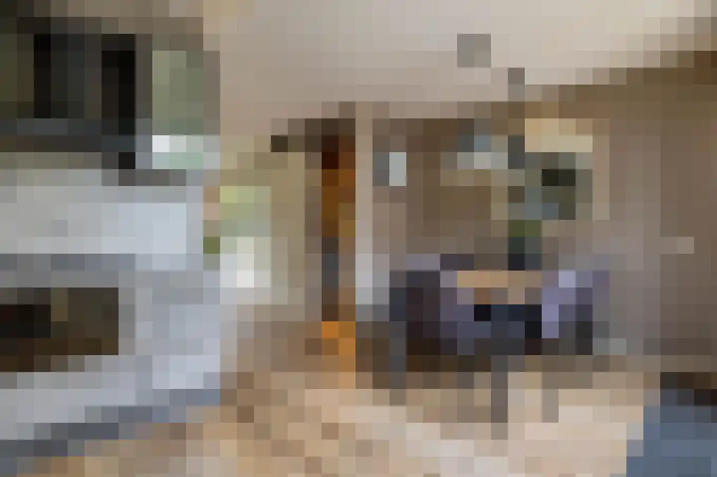 Oosteinde 50 St.-Jacobiparochie thumbnail 27
