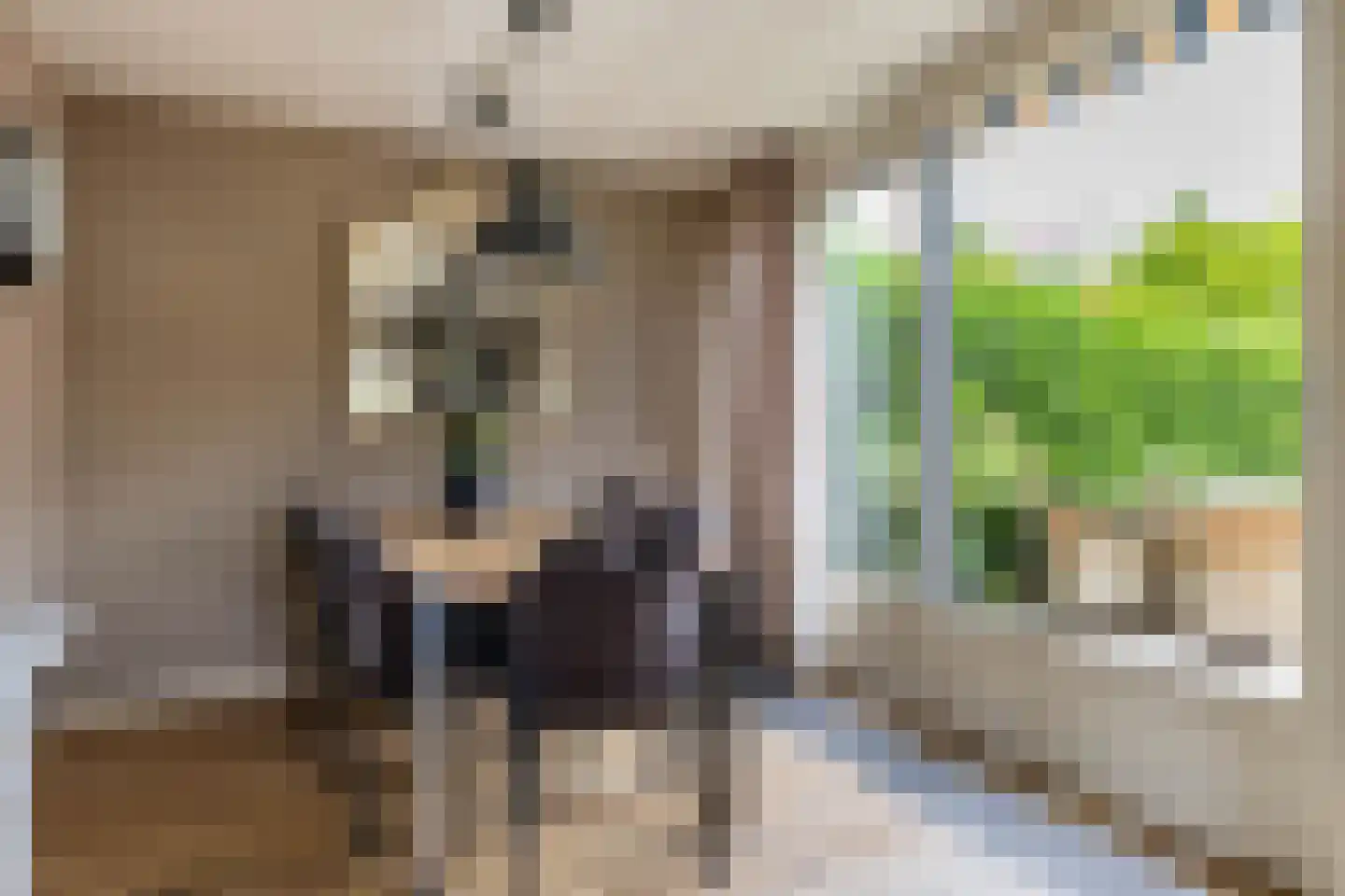 Oosteinde 50 St.-Jacobiparochie thumbnail 28