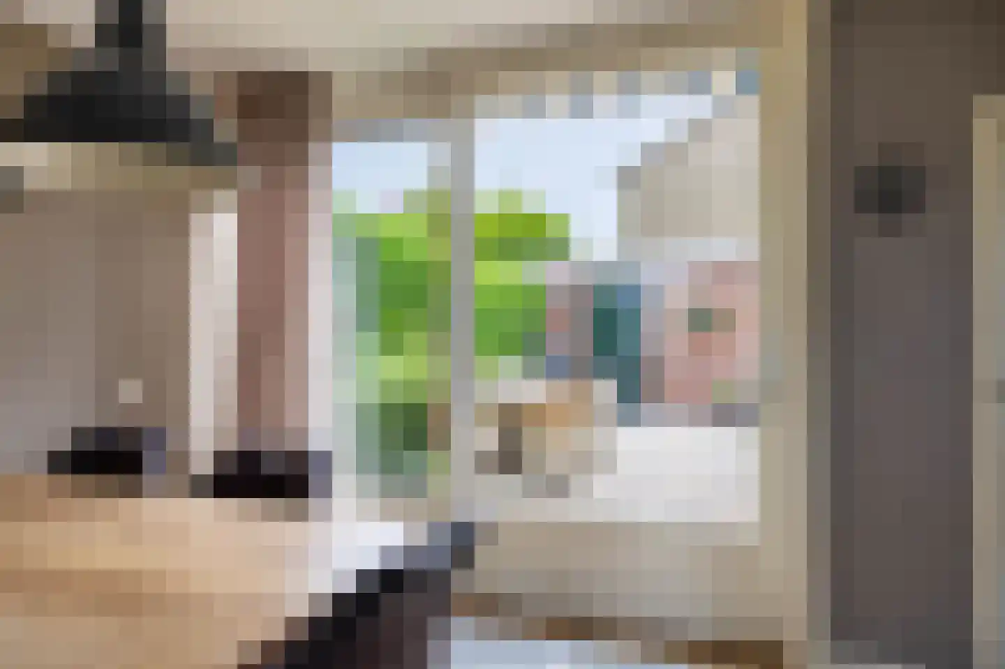 Oosteinde 50 St.-Jacobiparochie thumbnail 29