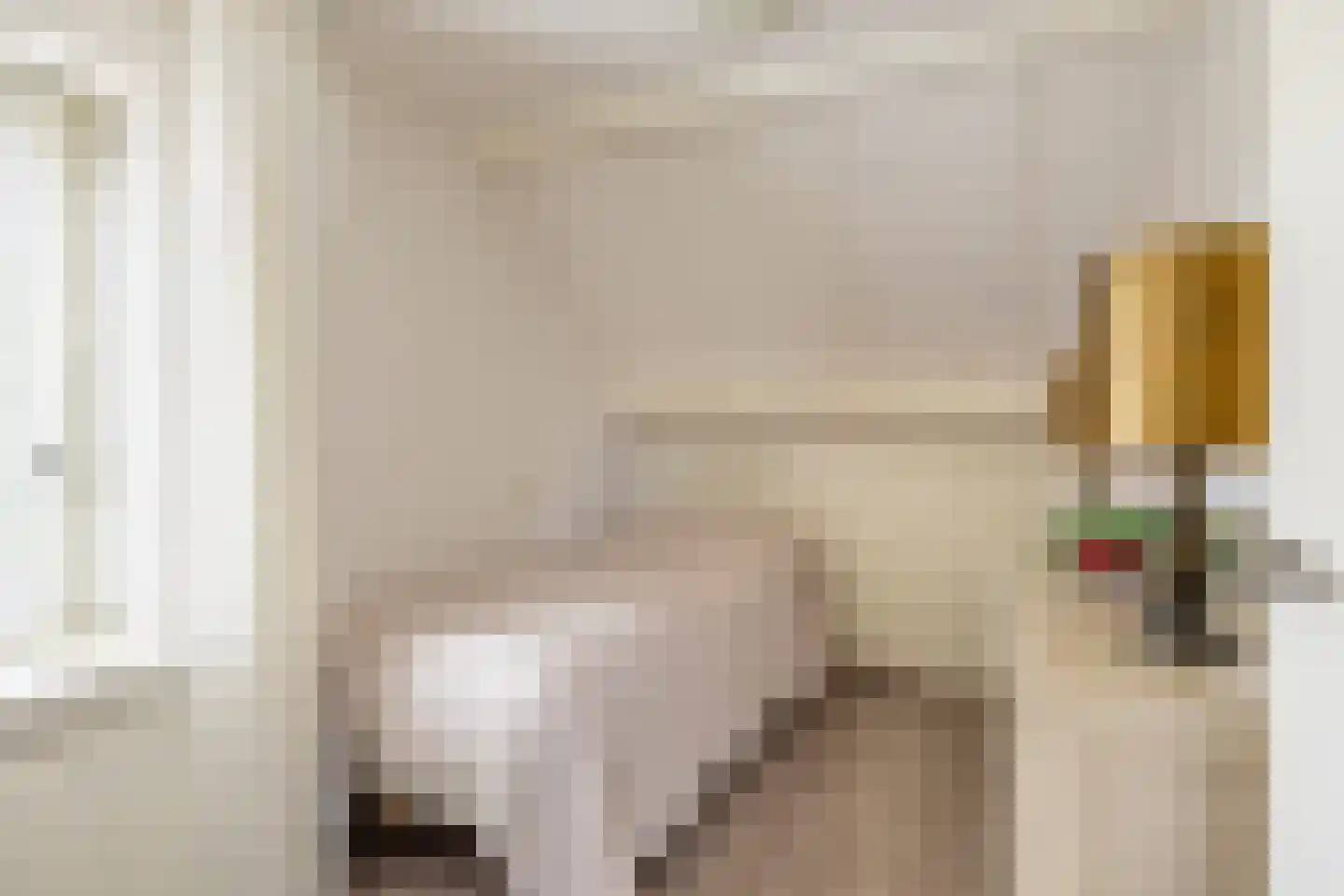 Oosteinde 50 St.-Jacobiparochie thumbnail 38