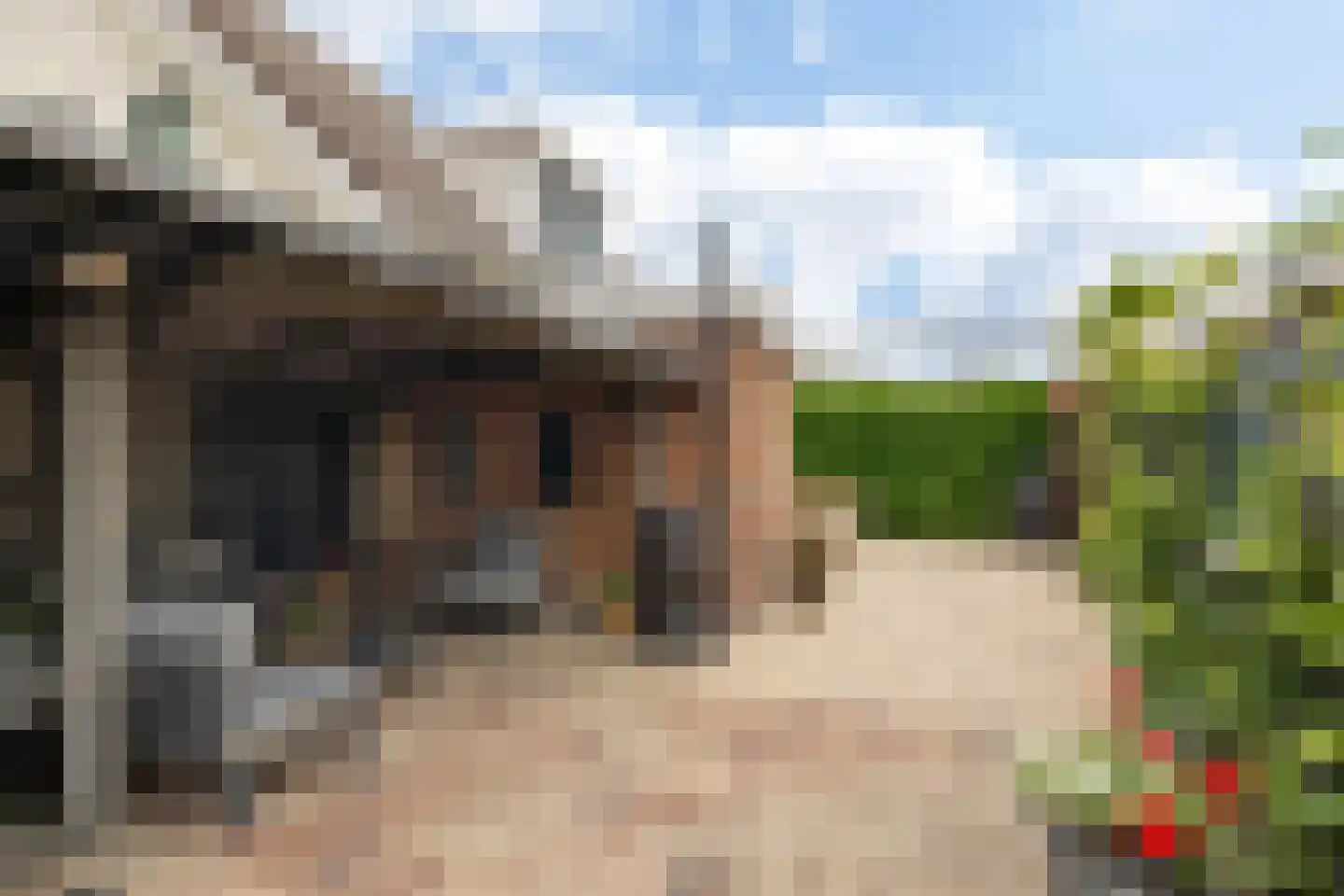 Oosteinde 50 St.-Jacobiparochie thumbnail 4