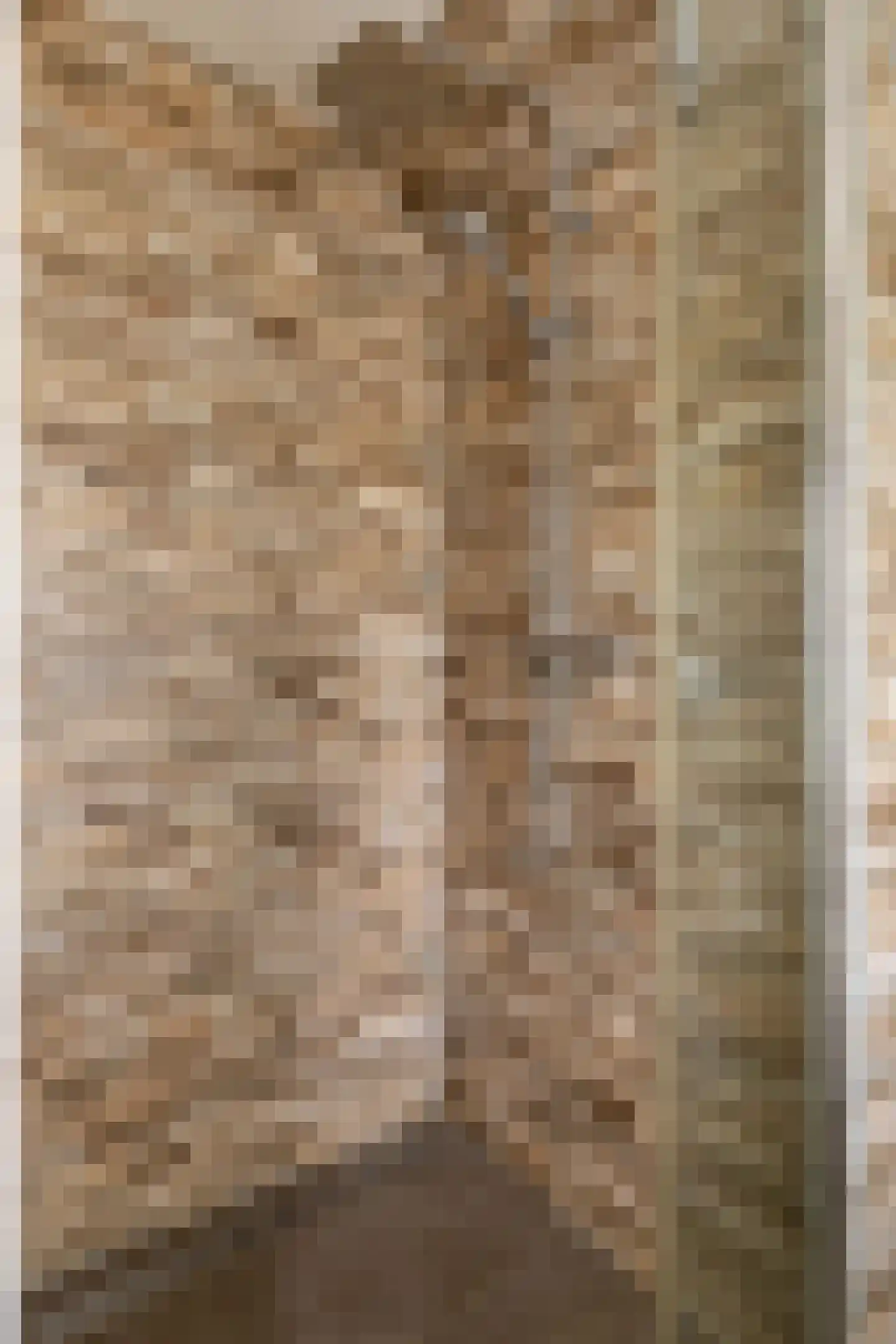 Oosteinde 50 St.-Jacobiparochie thumbnail 43