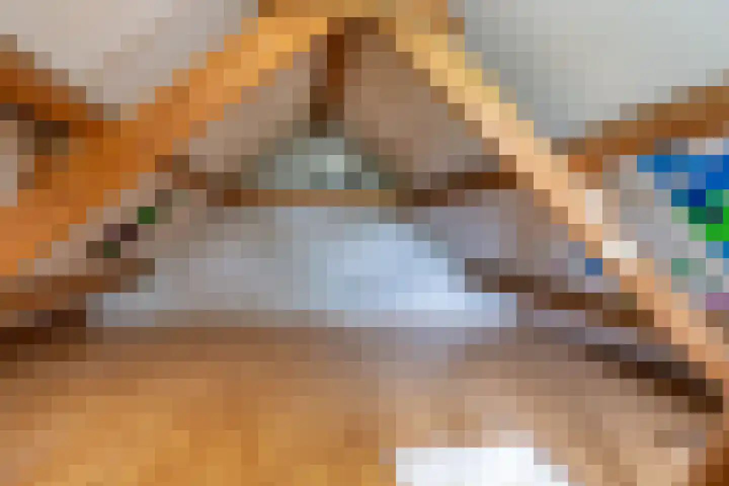 Oosteinde 50 St.-Jacobiparochie thumbnail 45