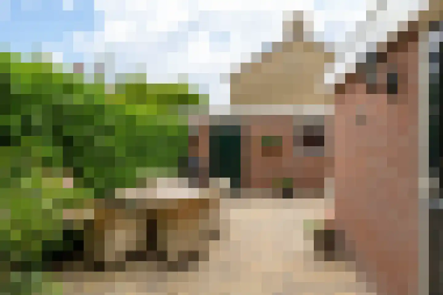 Oosteinde 50 St.-Jacobiparochie thumbnail 47